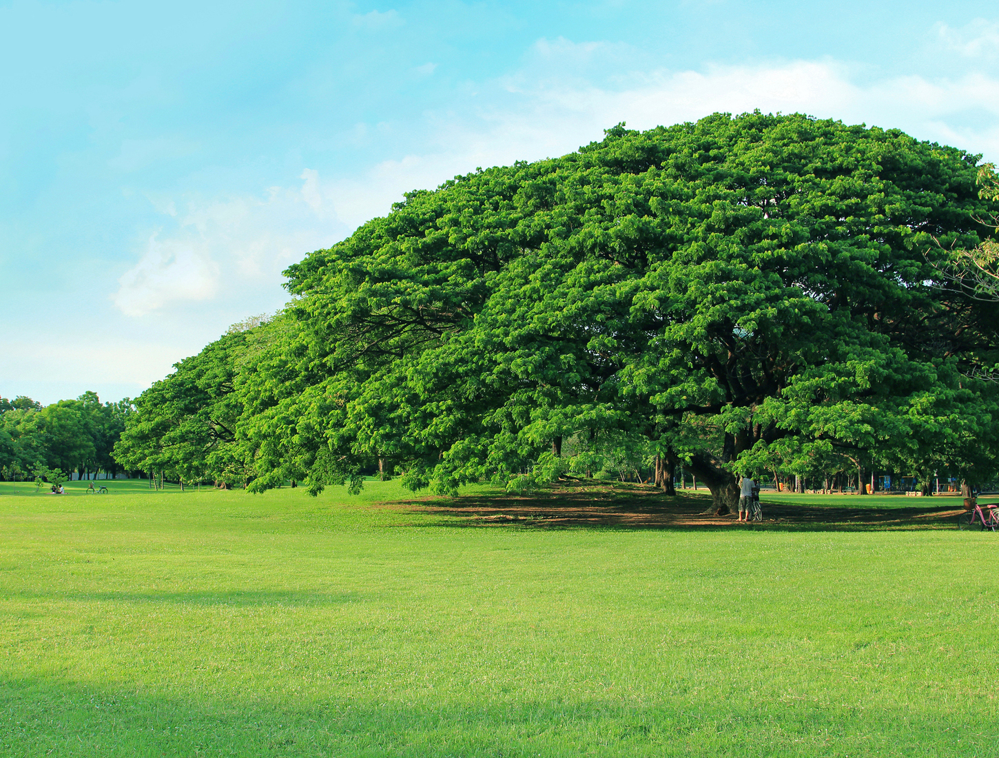 介護・看護 求人支援センター 浜松